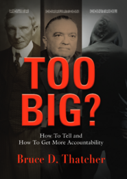 Too Big? book cover