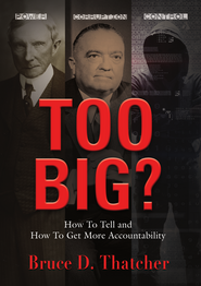 Too Big? book cover